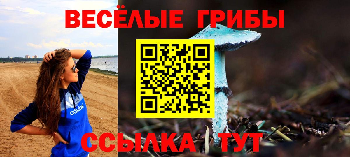 Галлюциногенные грибы Cubensis Полысаево
